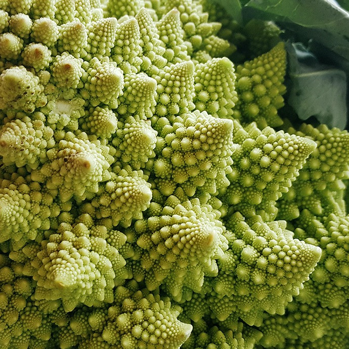 romanesco broccoli