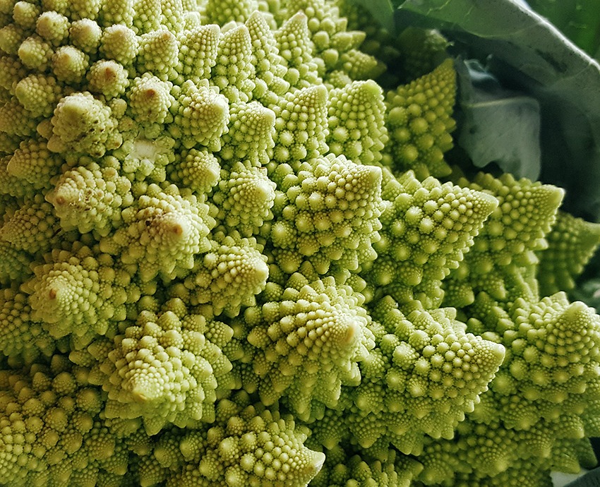 romanesco broccoli