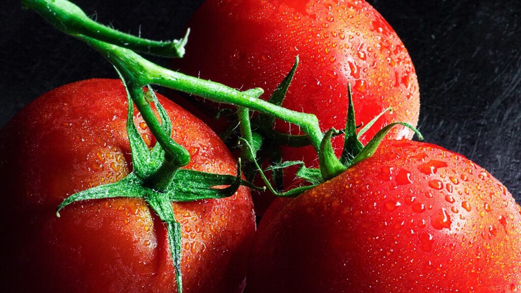 growing tomatoes in the winter