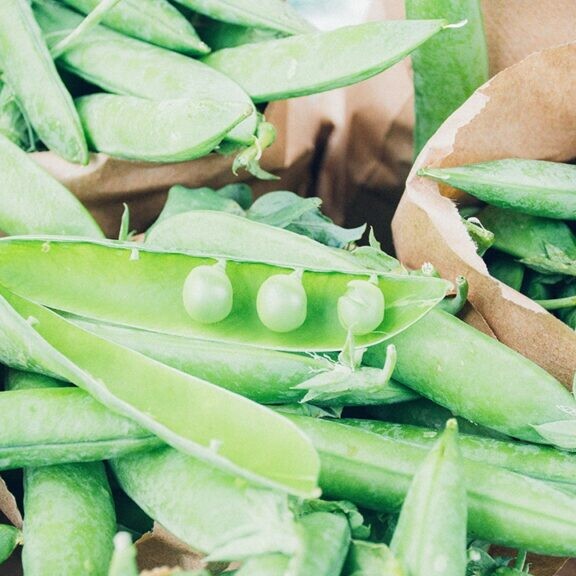 sweet peas