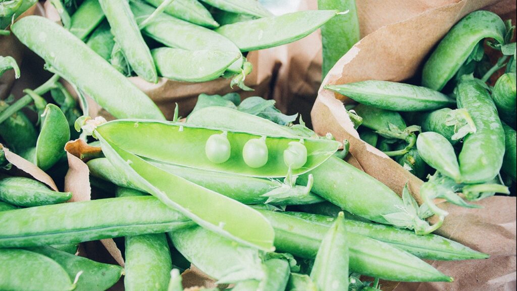 sweet peas