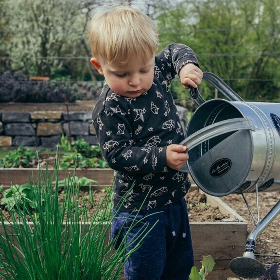 gardening tips california