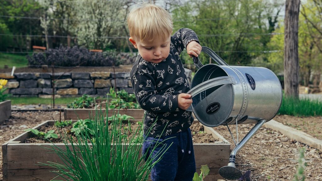 gardening tips california