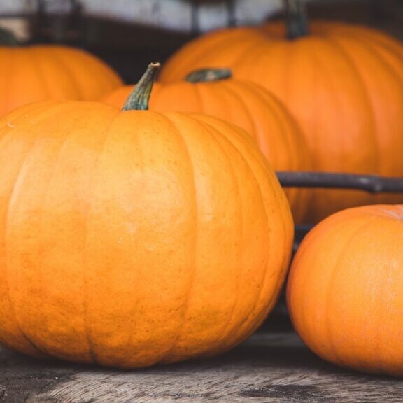 tips to prolong pumpkin life