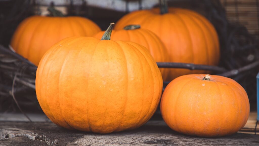 tips to prolong pumpkin life