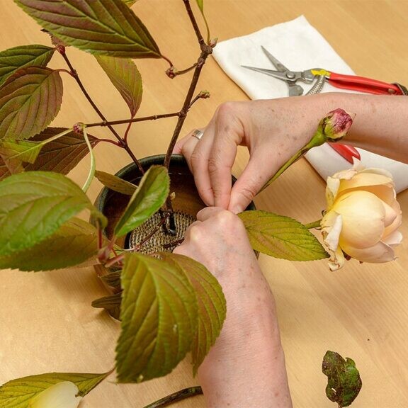 ikebana flower arranging