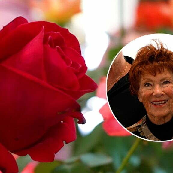 marion ross roses