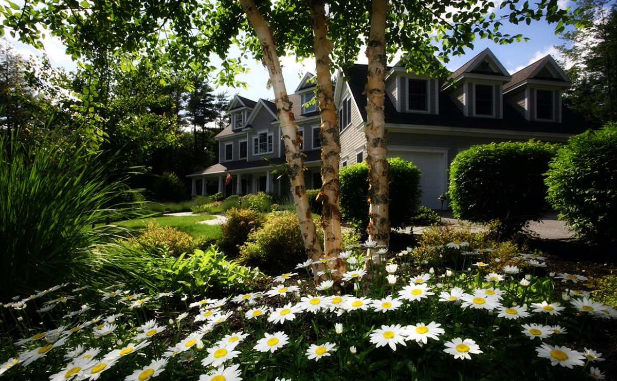 Top Home & Garden Trends for 2023 Garden America