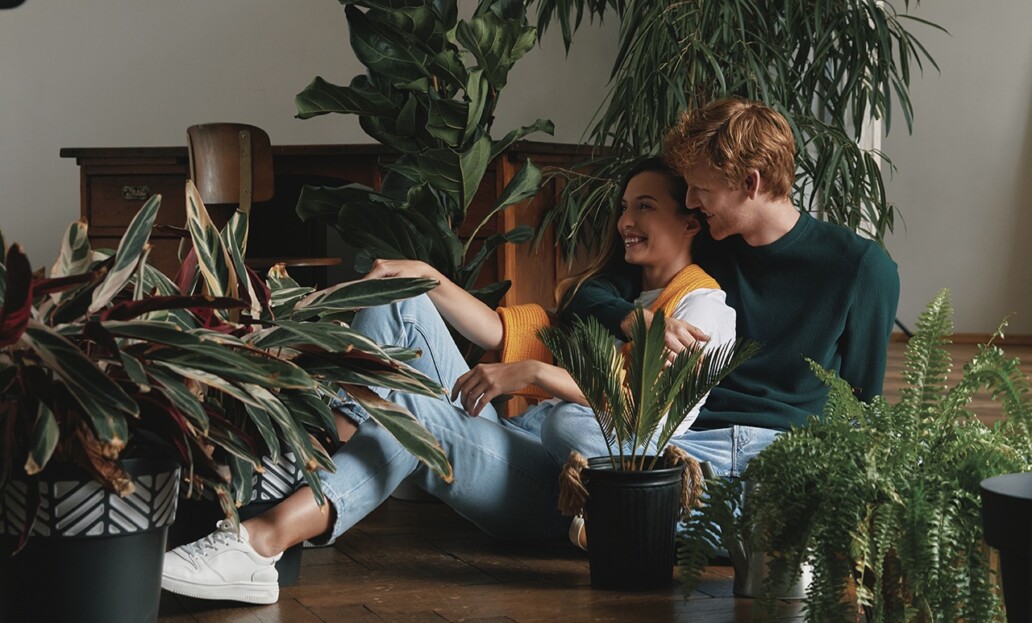 Houseplants In The Victorian Era Did You Know? Garden America