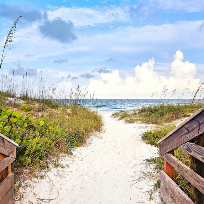 red tide florida