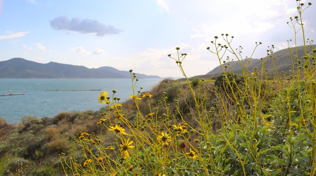 Diamond Valley Lake