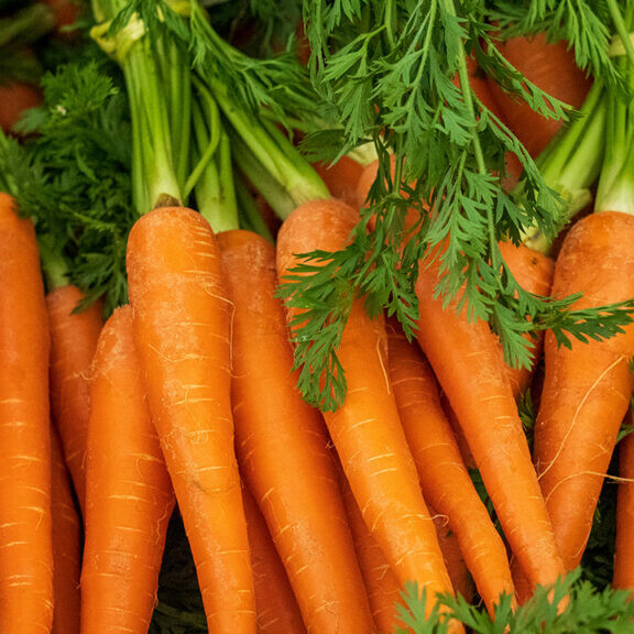 smart carrots