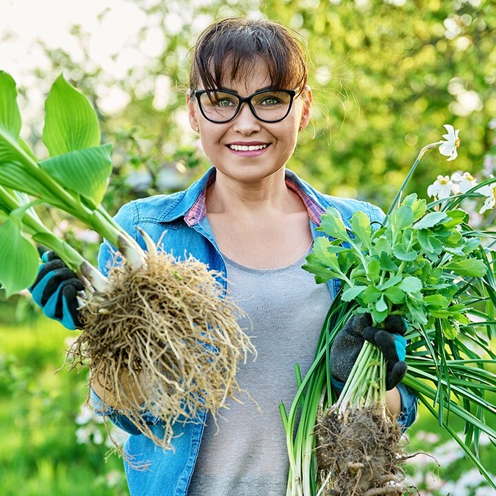 Enhancing Root Health with Advanced Air & Water Balance