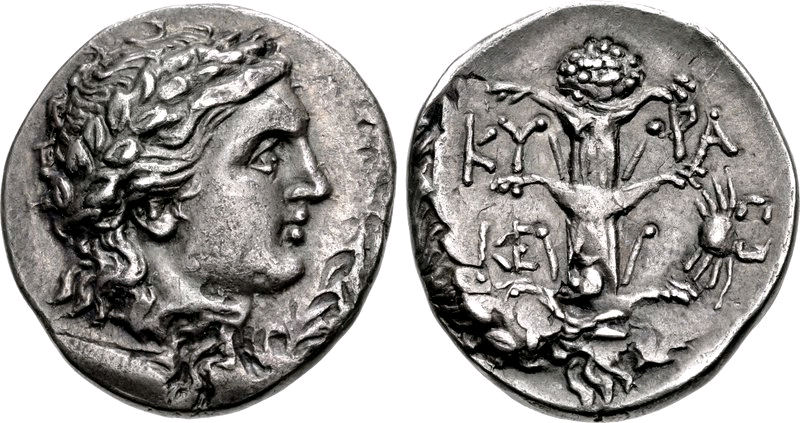 plant Silphium on coin