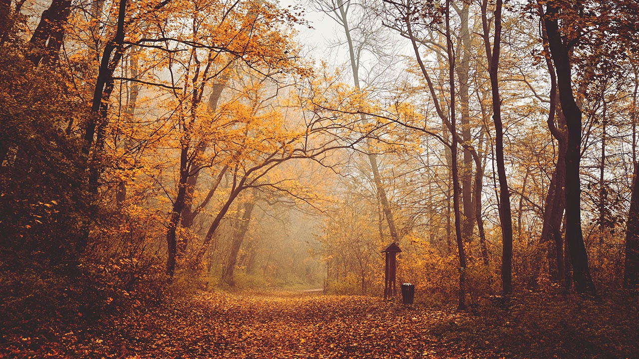 autumnal equinox