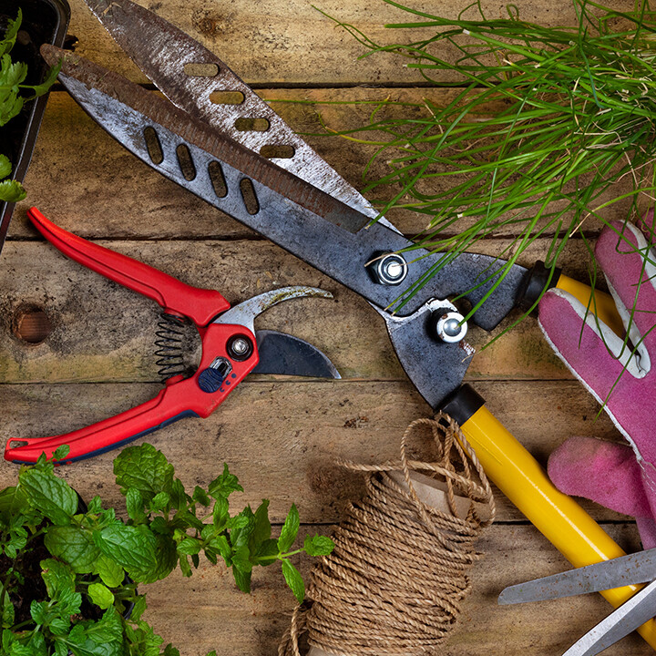 gardening tools