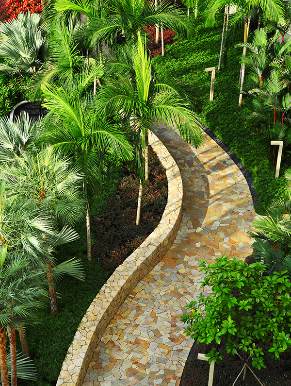 stone path in garden