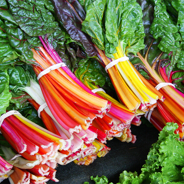 Swiss Chard Rainbow