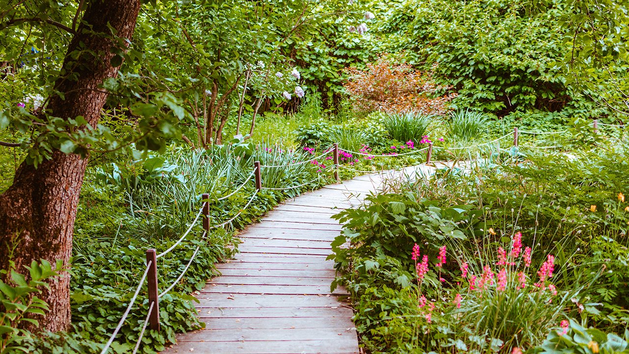 gardening path