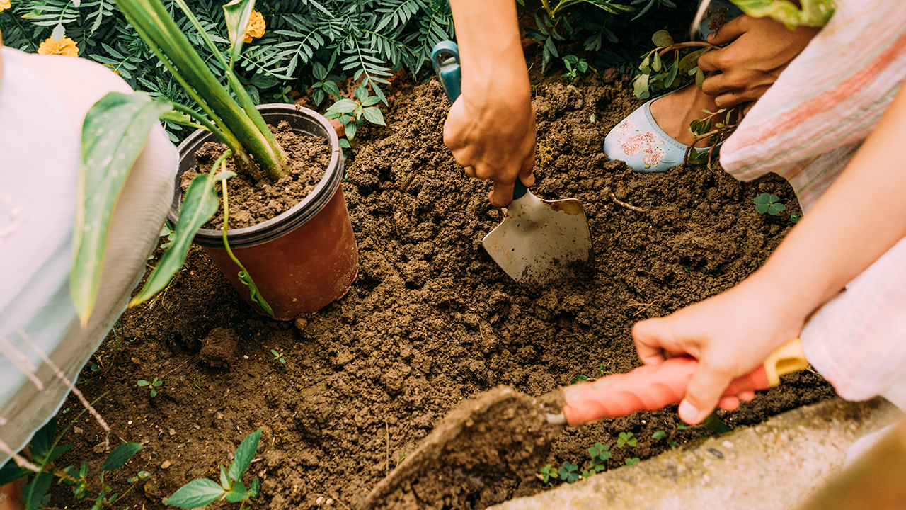 soil preparation