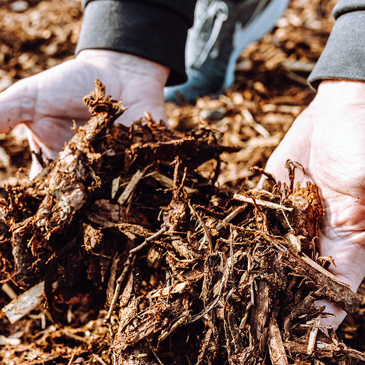 mulch