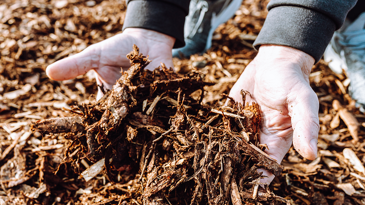 mulch