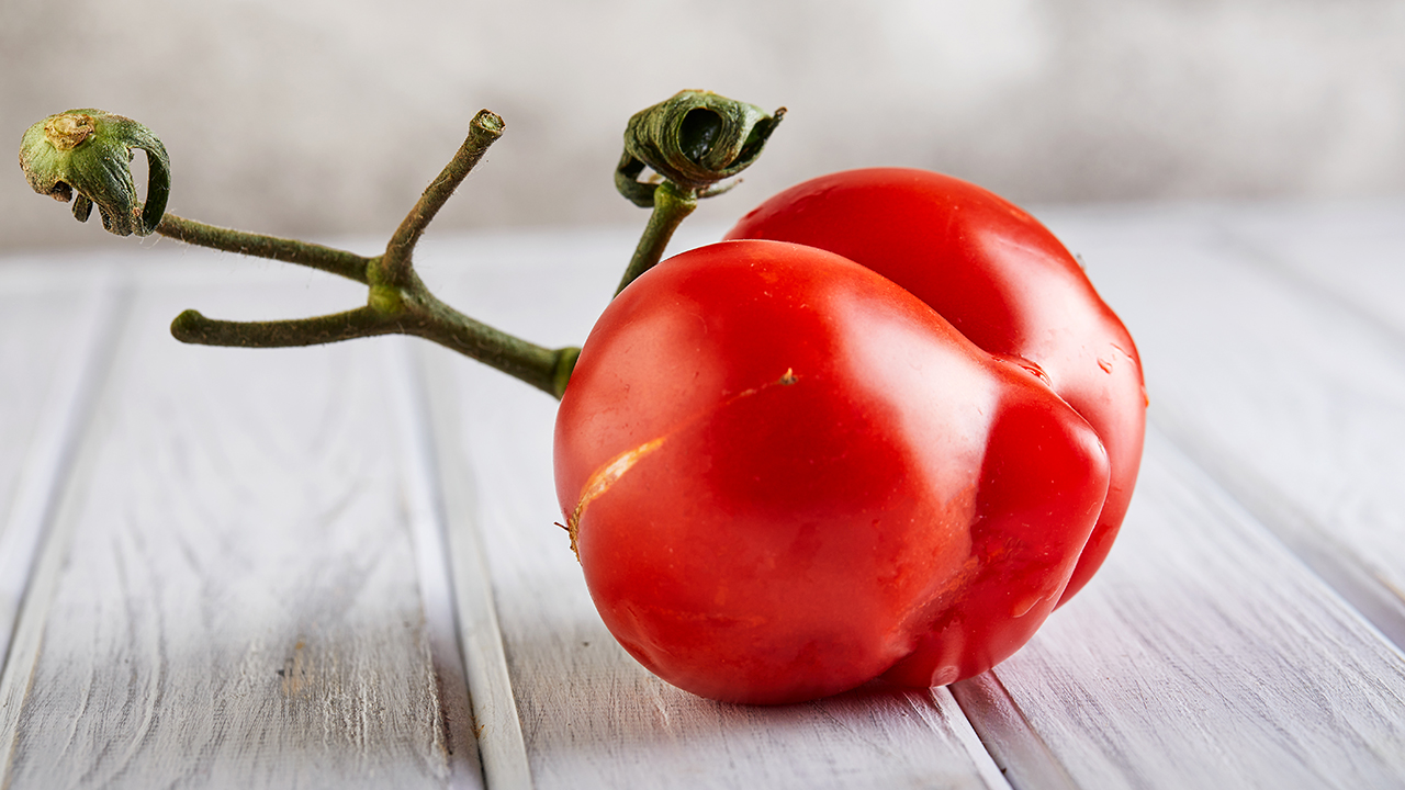 poisonous tomato