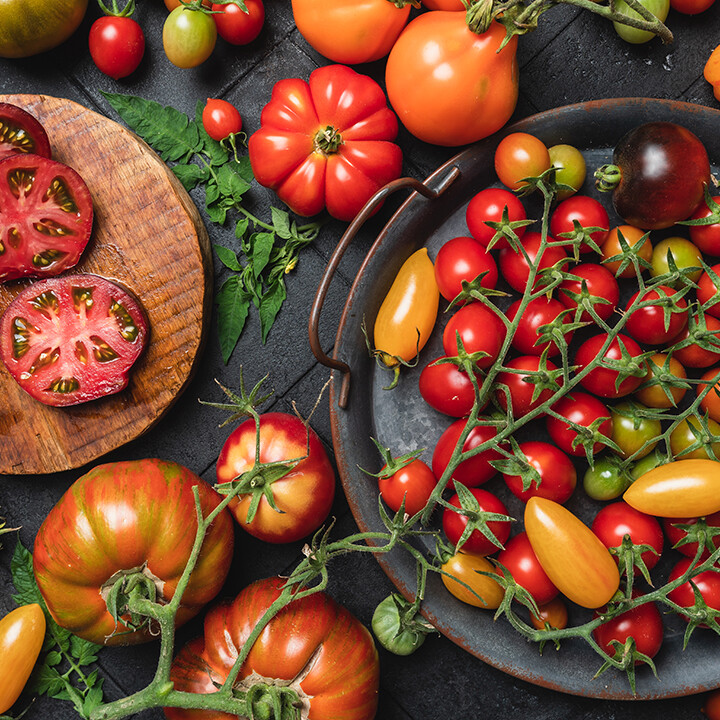 tomato varieties