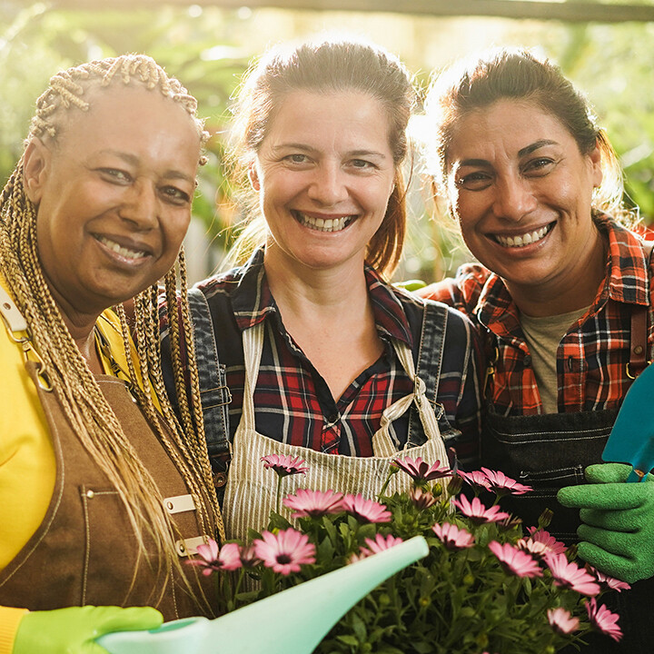 horticultural therapy