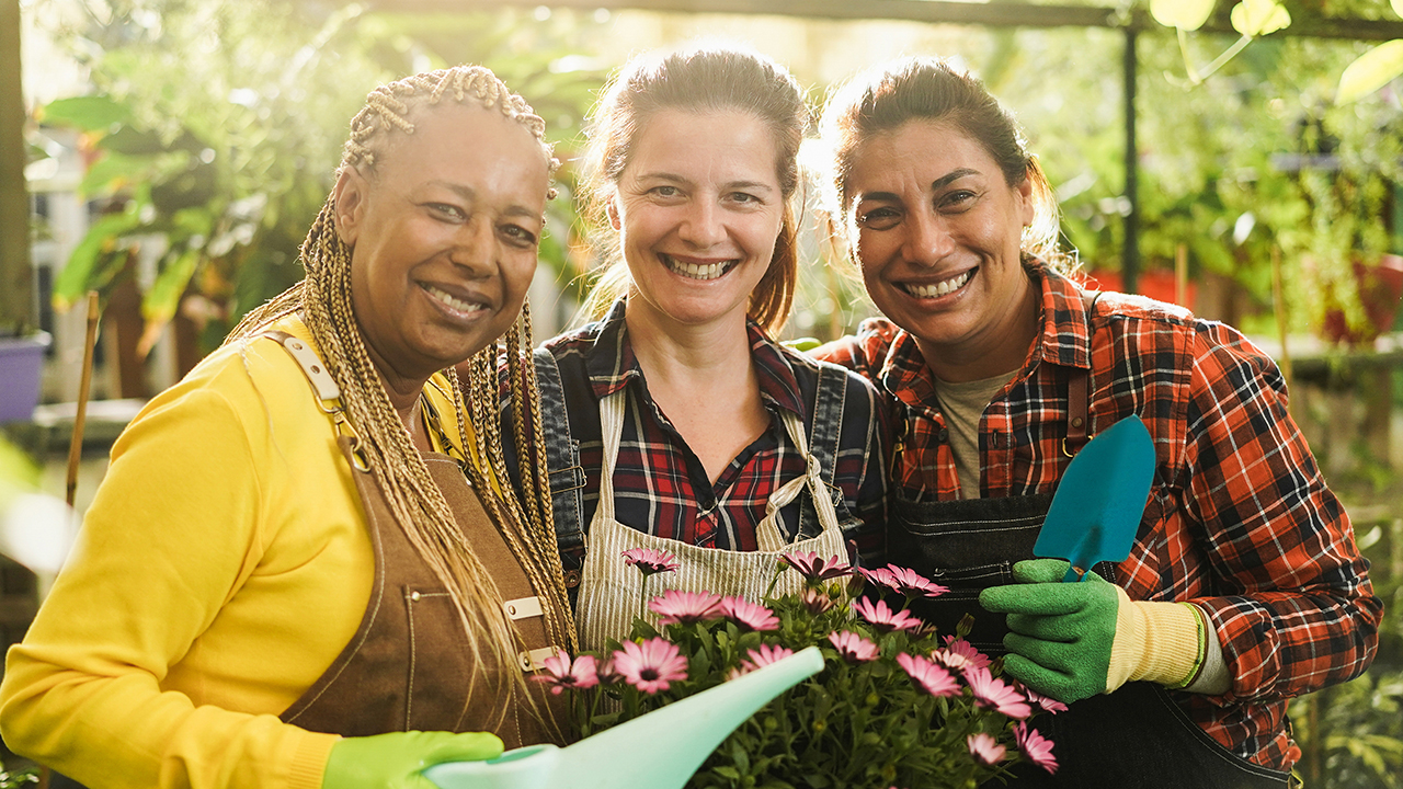 horticultural therapy