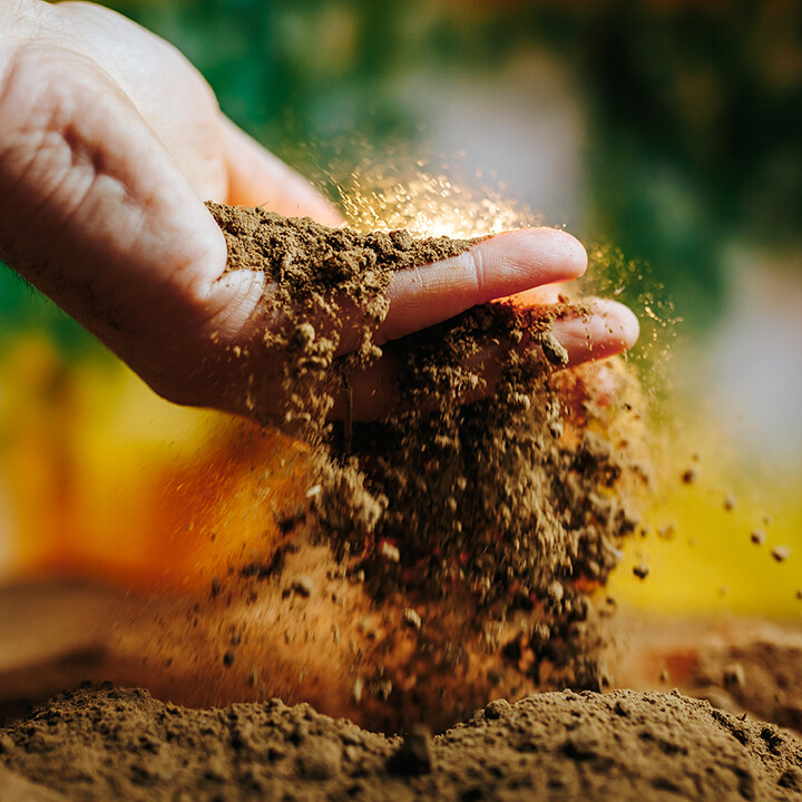 soil amendments gardening podcast