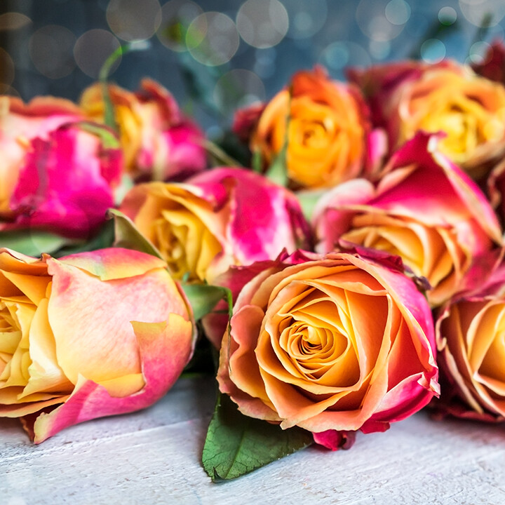 name that rose