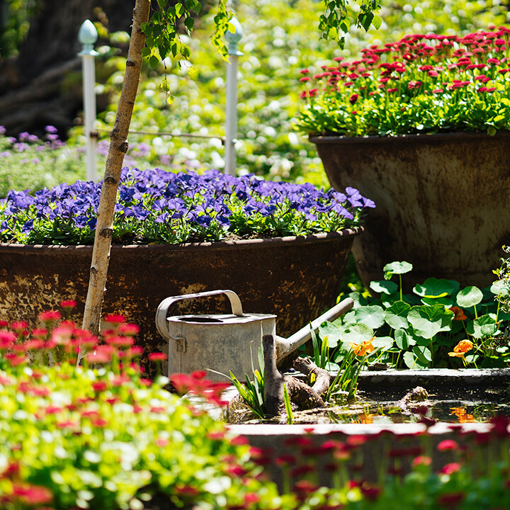 spring summer garden tips