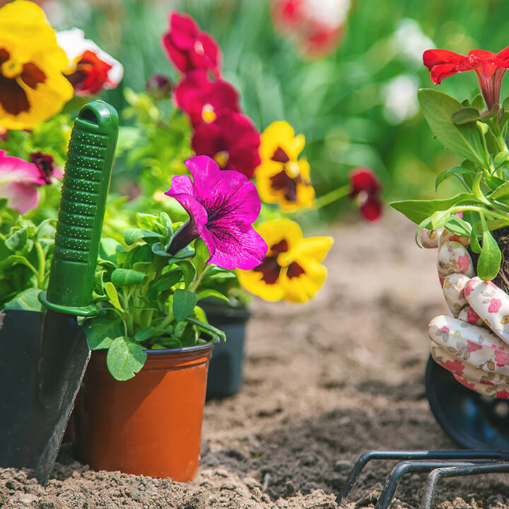 beware of fake gardening tips