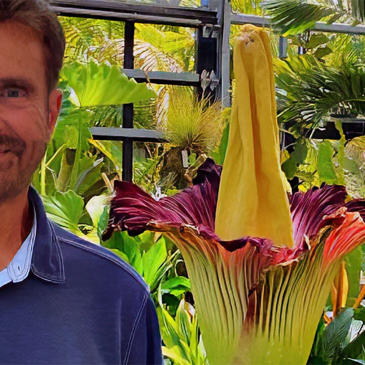 jon corpse flower
