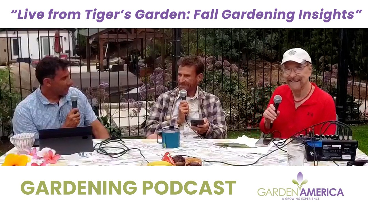 Live from Tigers Garden Fall Gardening Insights