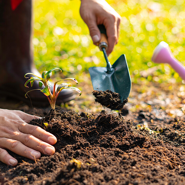 fall gardening cleanup