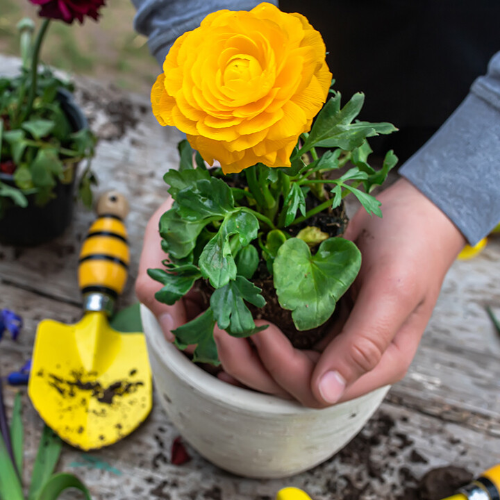 gardening talk