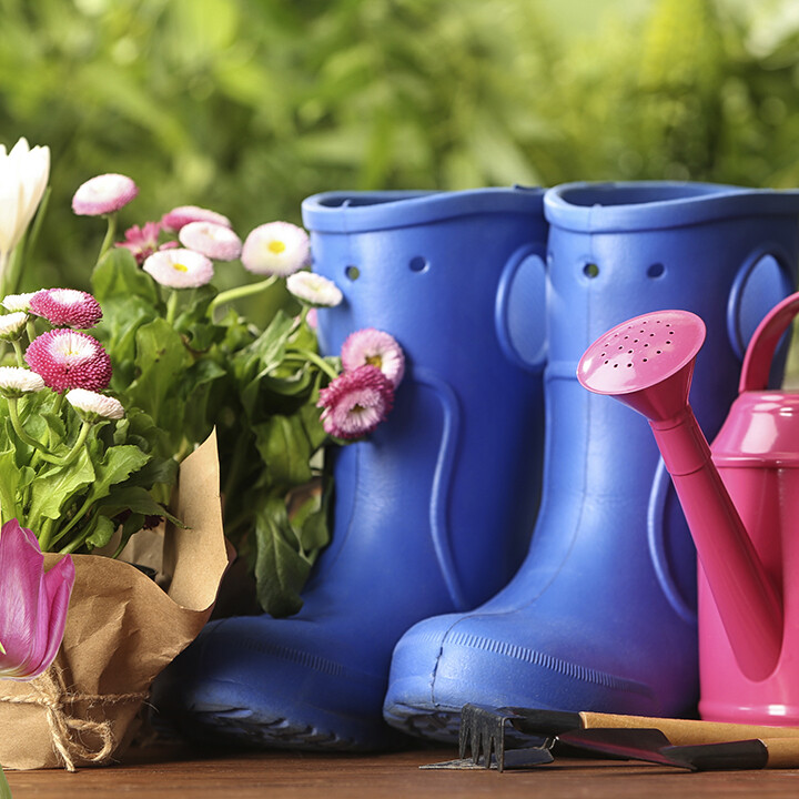 early spring gardening